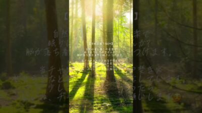 【瞑想・睡眠】まるで森林浴をしながらリラックスタイム/睡眠導入・勉強・ヒーリングミュージック・集中したい時のBGMなど