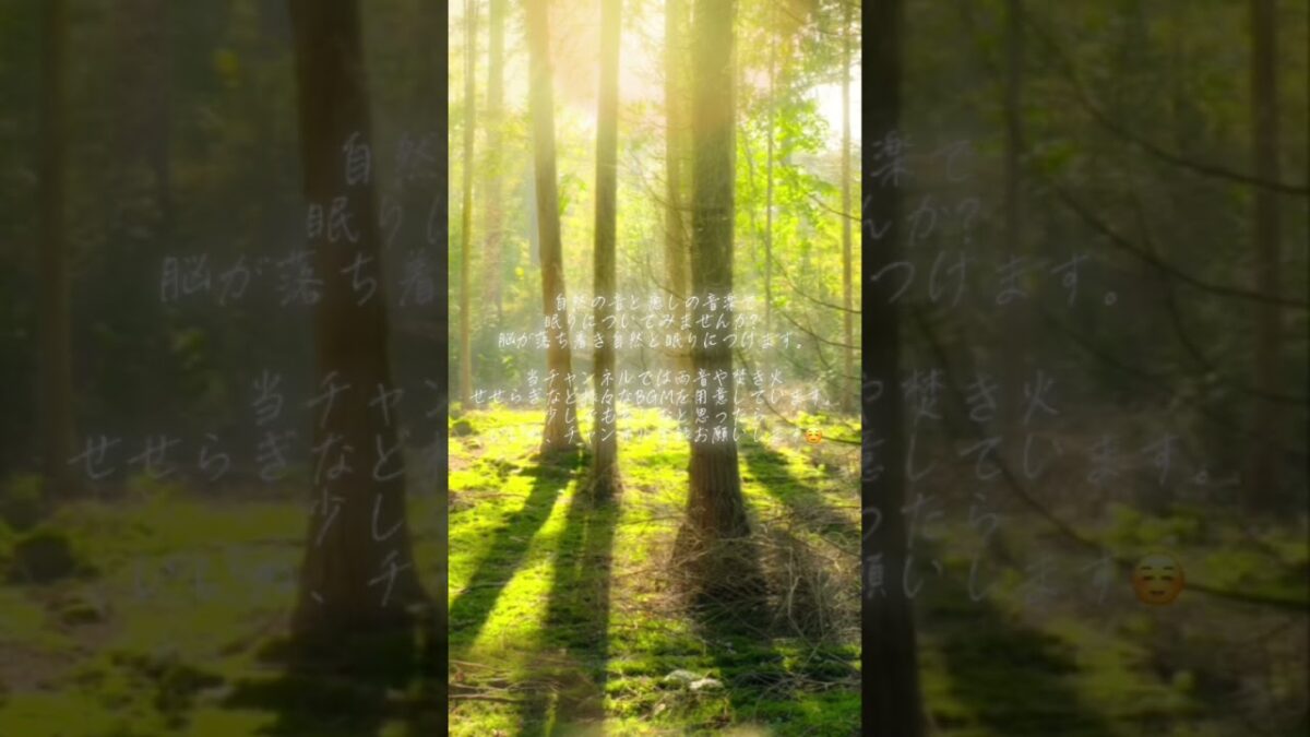 【瞑想・睡眠】まるで森林浴をしながらリラックスタイム/睡眠導入・勉強・ヒーリングミュージック・集中したい時のBGMなど
