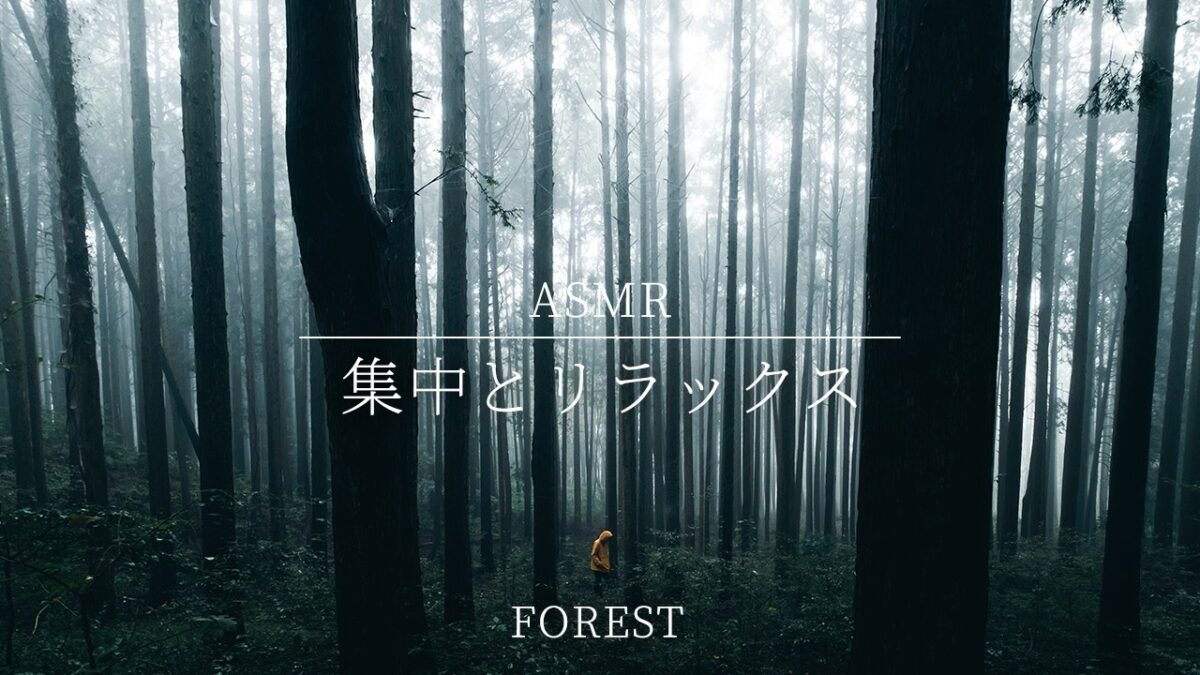 【作業用BGM/深緑/睡眠】静かな森の呼吸「集中とリラックス」｜Lo-Fi・Ambient｜森林浴・瞑想