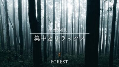 【作業用BGM/深緑/睡眠】静かな森の呼吸「集中とリラックス」｜Lo-Fi・Ambient｜森林浴・瞑想