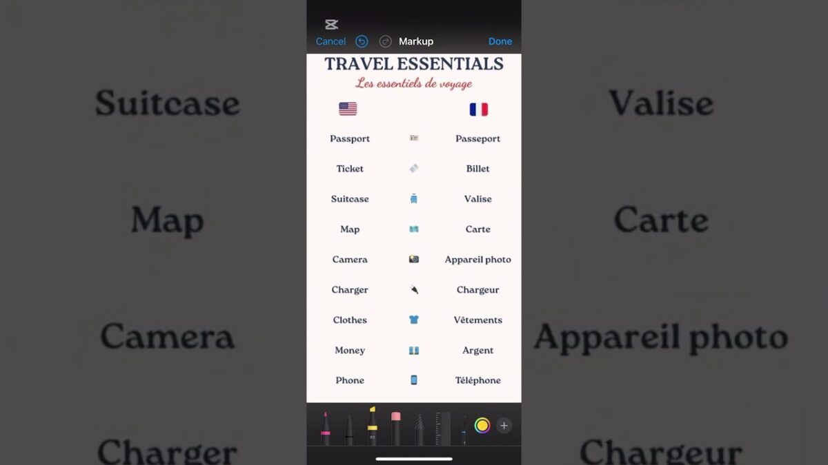 French travel essentials