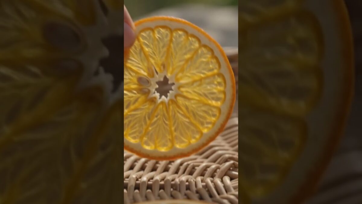 How to Make Sun-Dried Oranges 🍊 | Pure Nature ASMR | Dryfruitadda