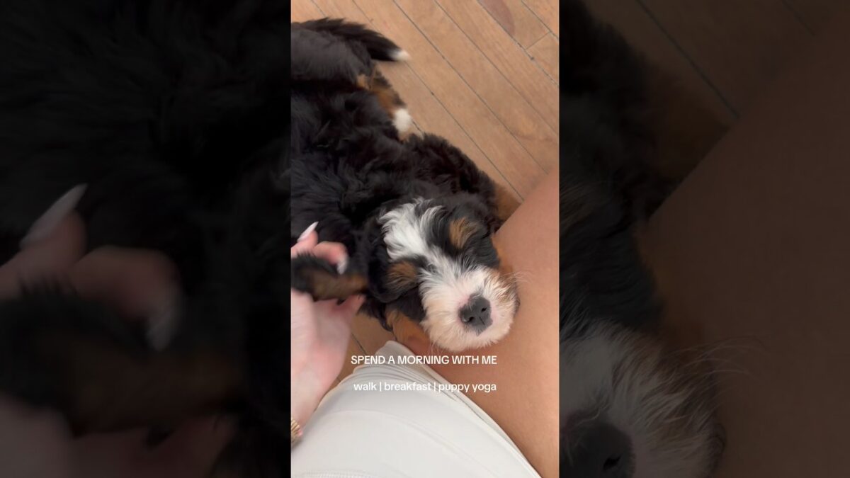 How was your day?? #morning #routines #puppyyoga #productiveday #morningroutine #inspo #breakfast