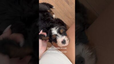 How was your day?? #morning #routines #puppyyoga #productiveday #morningroutine #inspo #breakfast