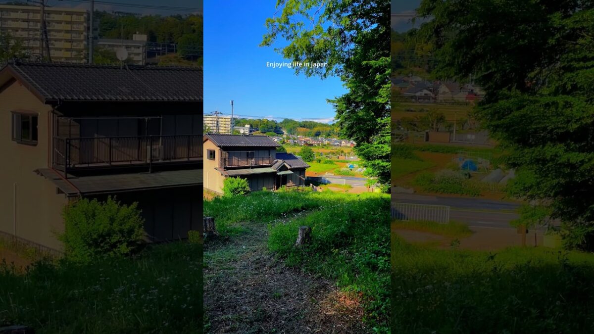 Japan Countryside 🇯🇵 #walk  #travel  #japan