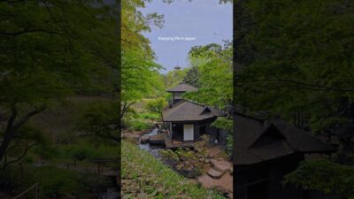 Japan at its Calmest Moment 🇯🇵🌿 #travel #walk #countryside