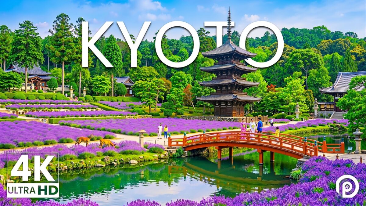 Kyoto 4K 🇯🇵 Peaceful Temples, Sakura Streets & Timeless Japanese Beauty