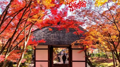 Kyoto Autumn Solitude ｜ 獨自漫步京都紅葉季：渡月橋、竹林小徑、常寂光寺、天龍寺 (No Talking ASMR, 4K)