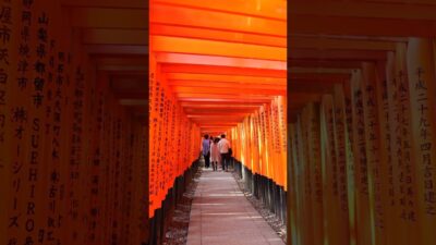 Kyoto Zen temple: moss gardens, maple trees and peaceful ponds 4K
