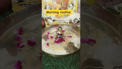 Laddu Gopal Morning Routine 🌸. lLadd Gopal Bhajan 🙏. lDaily Seva of Kanha. l$mukulvlog02#shorts🙏