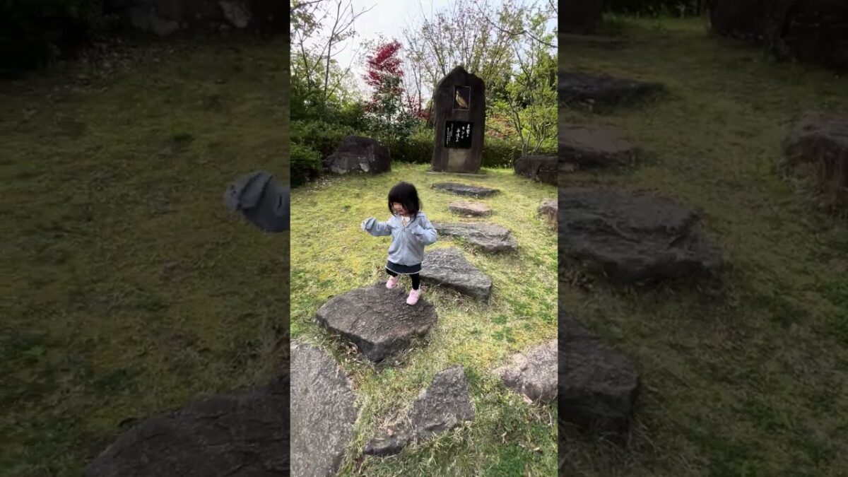 Nana want to walk by her self #like #love  #japan  #walking  #fyp