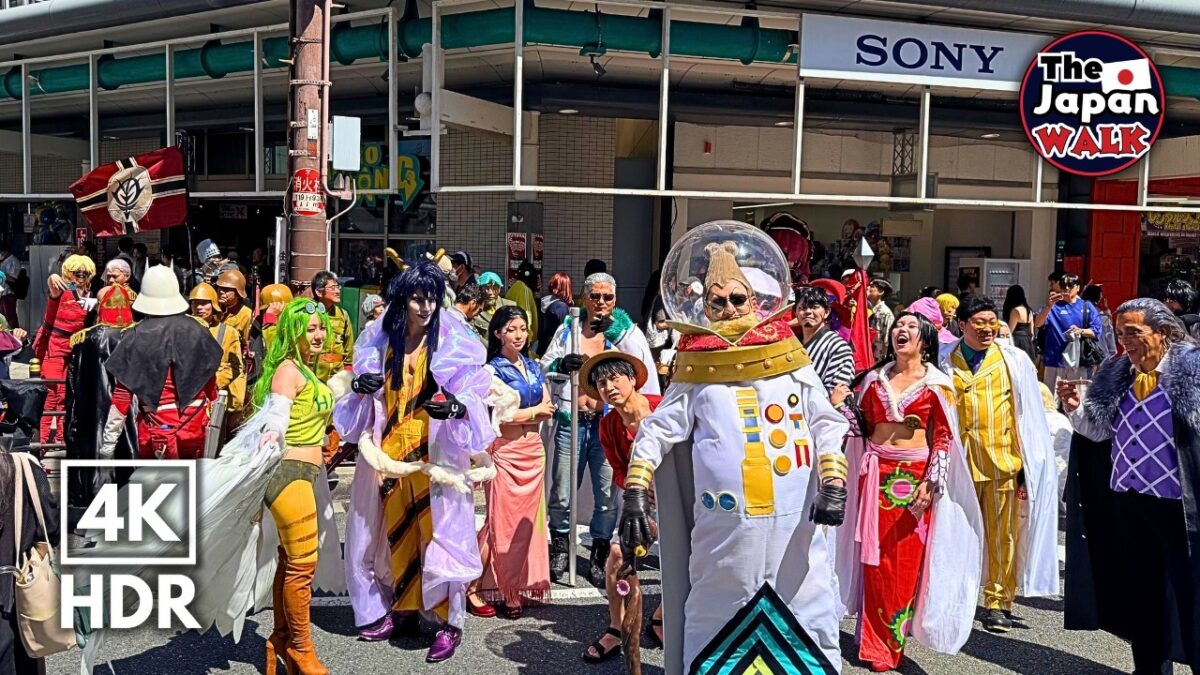 Nihonbashi Street Festa 2026 – One of Japan’s Biggest Cosplay Events | Osaka Walk | 4K HDR