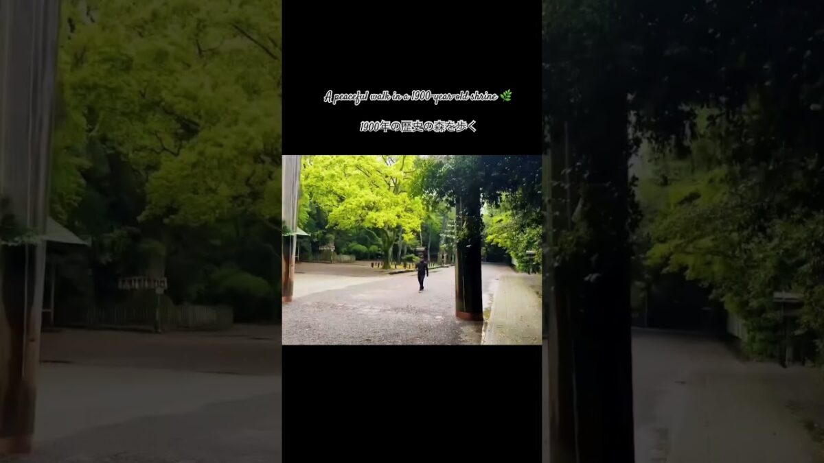 Peaceful walk in Atsuta Jingu, Japan ⛩️🌿 | 熱田神宮 #shorts #japantravel