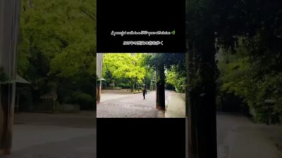 Peaceful walk in Atsuta Jingu, Japan ⛩️🌿 | 熱田神宮 #shorts #japantravel