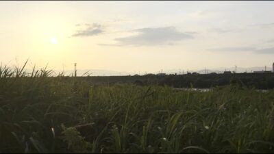 Quiet Evening Walk in Gifu, Japan