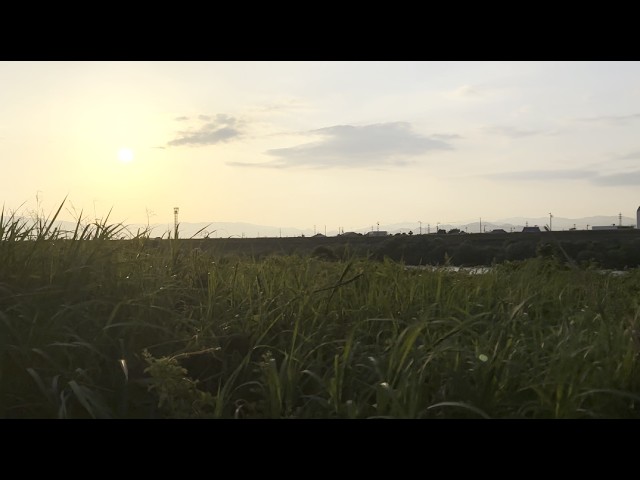 Quiet Evening Walk in Gifu, Japan