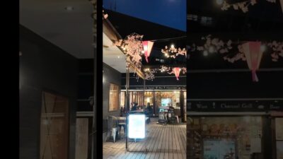 Quiet Night Walk in Japan