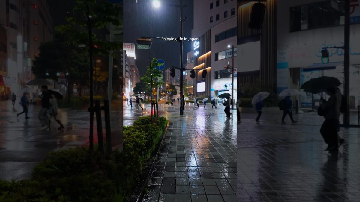 Rainy night walk in Hamamatsu City Japan 🇯🇵 ☔️ #nightview #japan #walkingtour