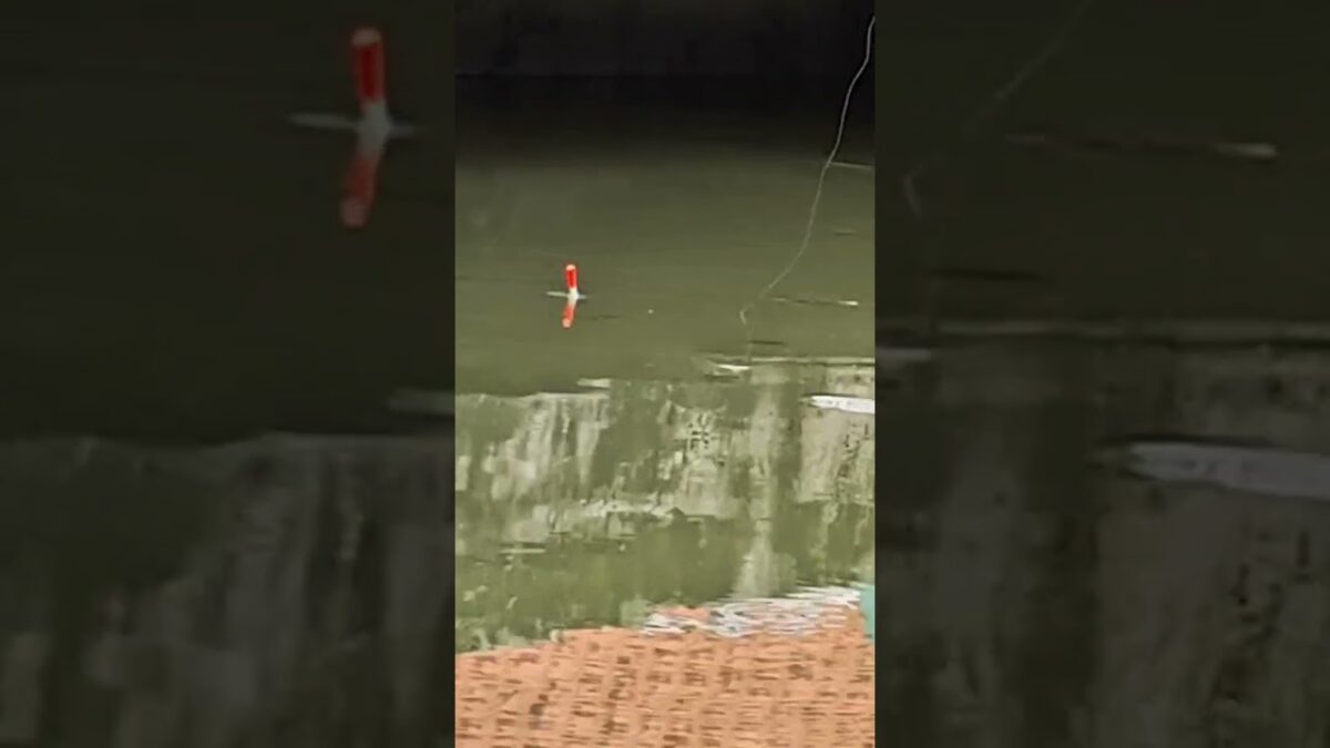 Sambaranya buas #fyp #fishing #mamcingliar #mancingmania #nature #asmr #angler #nature #riverfishing