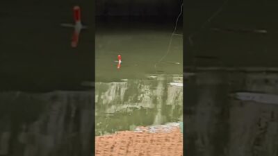 Sambaranya buas #fyp #fishing #mamcingliar #mancingmania #nature #asmr #angler #nature #riverfishing
