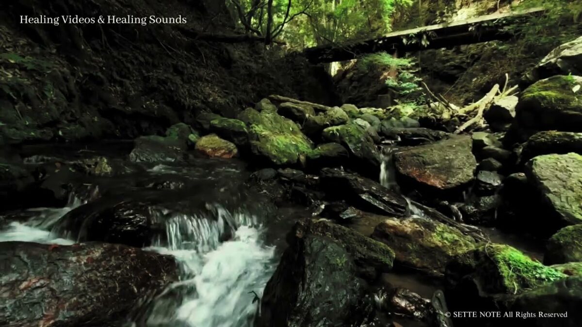 【癒しの映像とピアノ音楽】京都・清滝川の渓谷| The Kiyotaki River Gorge in Kyoto 4K風景映像・実写　#kyoto #relaxpiano #calmpiano