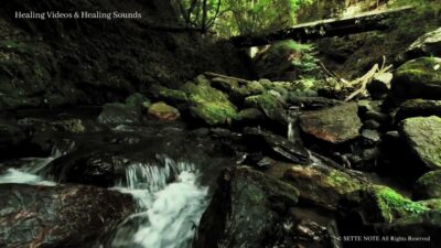 【癒しの映像とピアノ音楽】京都・清滝川の渓谷| The Kiyotaki River Gorge in Kyoto 4K風景映像・実写　#kyoto #relaxpiano #calmpiano