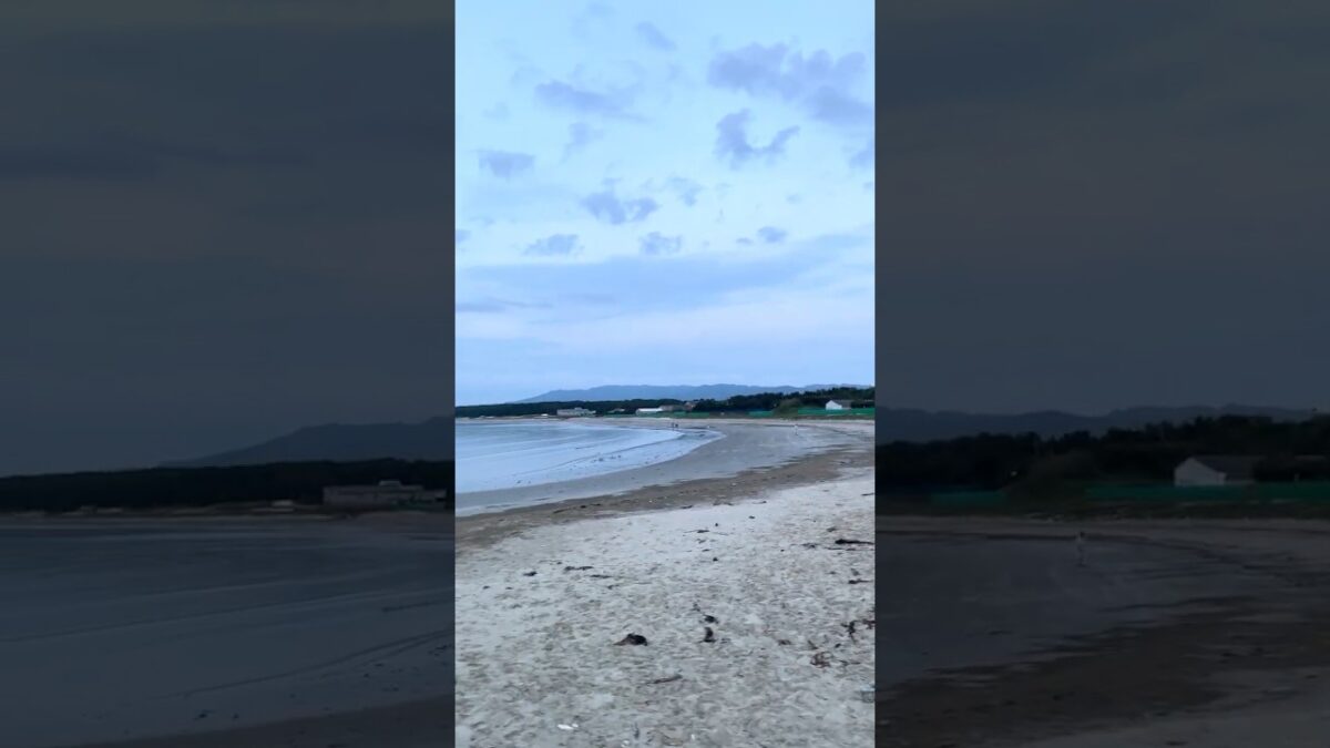 The Sound of This Beach Made Me Stop Walking 🌊 | Japan ASMR 4K #shorts #japanwalk #asmr #relaxing