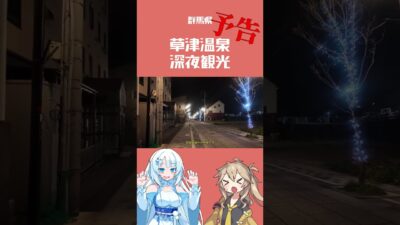 【草津温泉】代弁者がいるタイプのディオ・ブランドー【VOICEVOX Vlog】