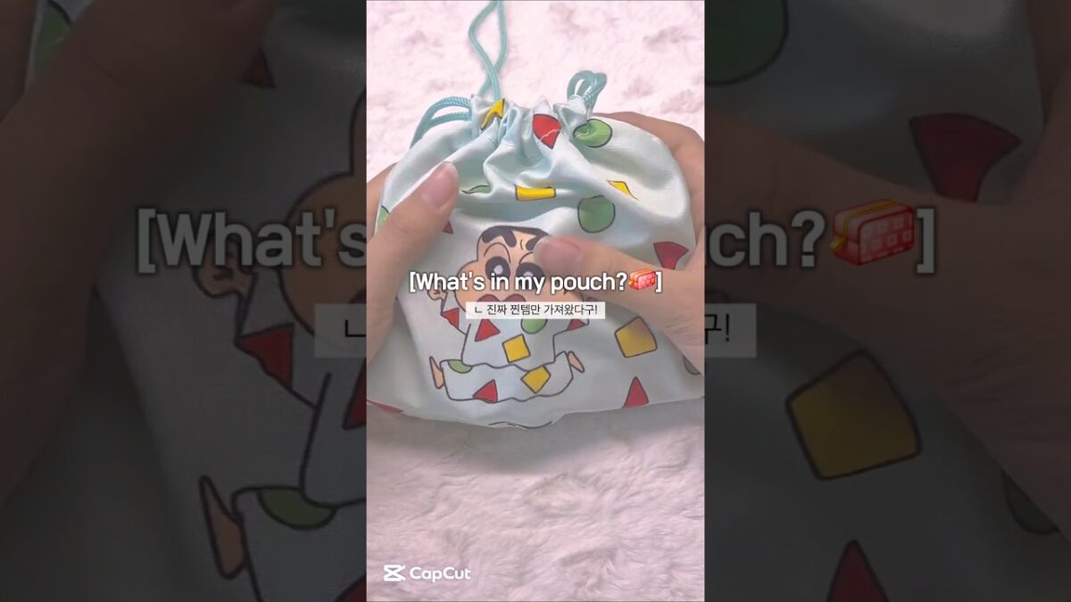 What’s in my pouch? (꼭사야할 찐템만 델꼬옴💯) #코덕#코덕계#코덕지망생#makeup#생활음#생활음계#kbeauty#asmr#화장품#소개#파우치