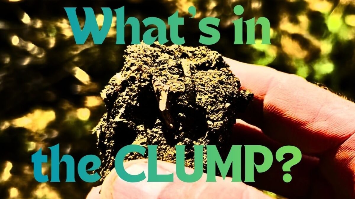 What’s in the CLUMP?  Metal detecting with the XP Deus II