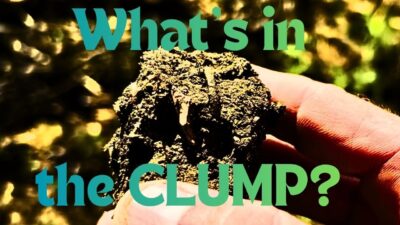What’s in the CLUMP?  Metal detecting with the XP Deus II