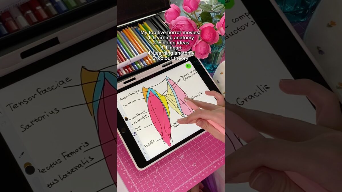 What’s in your list? #artist #anatomy #art #digitalart #drawing
