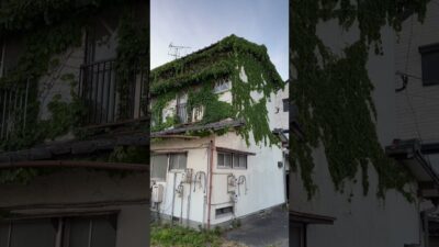 Would You Go Inside This Abandoned House? 👻 | Japan Walk ASMR 4K #shorts #japanwalk #asmr #relaxing