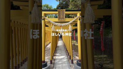 【 茨城 】黄金の鳥居があるほしいも神社に行ってきた⛩🍠✨ #茨城県 #茨城観光 #ibaraki  #神社 #神社仏閣巡り #神社仏閣パワースポット #お出かけスポット #デートスポット