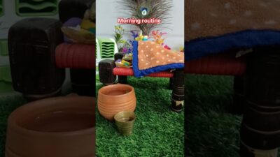 laddu gopal morning routine 🌸 #viral #laddugopal#youtubeshorts#morningroutine