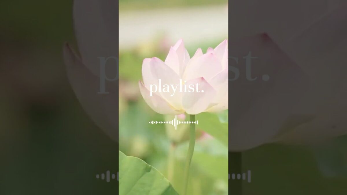 深呼吸したくなる朝の洋楽🕊#shorts #作業用bgm #chillmusic