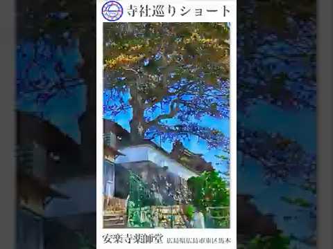 寺社巡りショート　広島県広島市東区馬木「安楽寺 薬師堂」