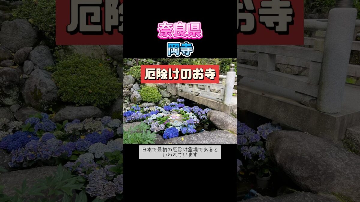 #奈良県#岡寺#紫陽花#花の寺#厄除け#遠隔参拝 #神社仏閣巡り #お出かけ #パワースポット #御朱印