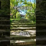 【空気が変わる】西恩寺（大阪・千早赤阪村）｜新緑に包まれる静寂の古刹