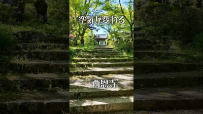 【空気が変わる】西恩寺（大阪・千早赤阪村）｜新緑に包まれる静寂の古刹