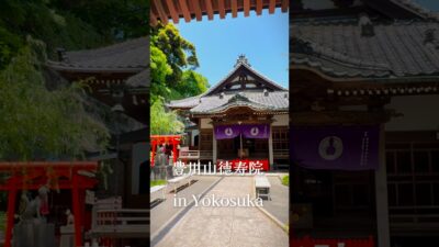 断崖にある、綺麗な隠れ家神社⛩️｜豊川山徳寿院