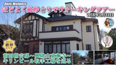 ほどよく絶妙とりでウォーキングツアー