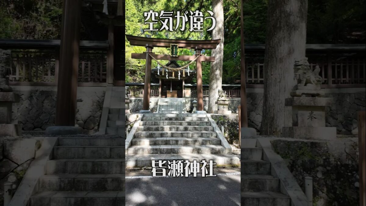 【癒やしの神域】皆瀬神社（和歌山・龍神村）｜ひっそり佇むスピリチュアル神社