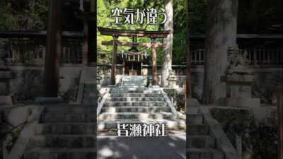 【癒やしの神域】皆瀬神社（和歌山・龍神村）｜ひっそり佇むスピリチュアル神社