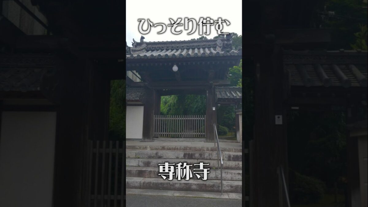 【人知れず佇む癒やしの古刹】専称寺（奈良・香芝市）｜小さな山寺