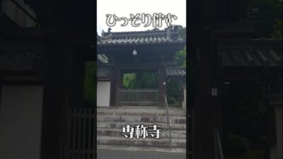 【人知れず佇む癒やしの古刹】専称寺（奈良・香芝市）｜小さな山寺