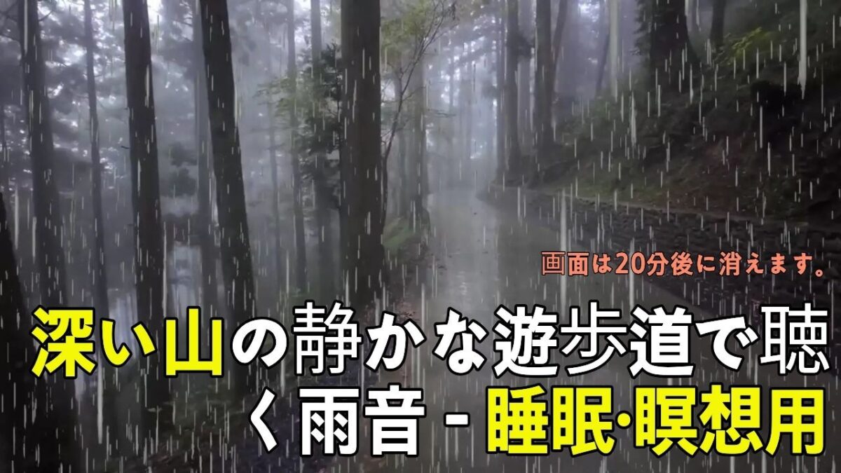 深い山の雨音を聴きながら眠る瞑想 | 日本の神聖な森