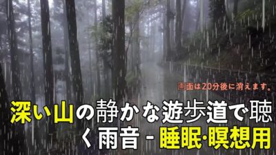 深い山の雨音を聴きながら眠る瞑想 | 日本の神聖な森