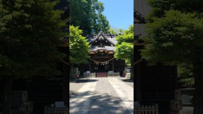 群馬県加須市の美しい神社、玉敷神社 #神社巡り #神社仏閣巡り