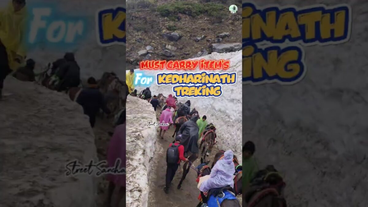 కేదార్‌నాథ్ వెళ్లేవాళ్లు తప్పక తీసుకెళ్లాల్సిన వస్తువులు | కేదార్‌నాథ్ కి వెళ్లే ముందు ఈ videoచూడండి